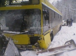 ДТП в Киеве: в Пуще-Водице автобус врезался в дерево. ФОТО
