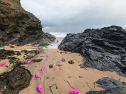 Тысячи бутылок Vanish загрязнили английский пляж (ФОТО)