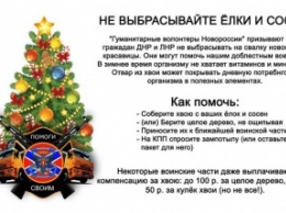 В «ДНР» просят не выбрасывать елки, а сдавать их на витаминный отвар для боевиков (ФОТО)