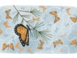 Google создал doodle, посвященный Биосферному заповеднику бабочки Монарх