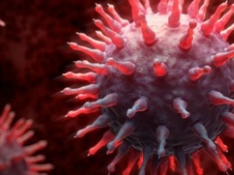 На Донетчине эпидемия гриппа унесла 17 жизней