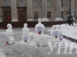 В Кировограде митинговали снеговики