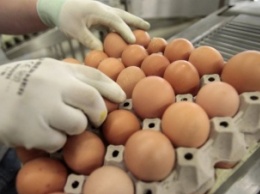 В украинских яйцах нашли опасные бактерии