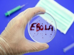 Эпидемия лихорадки Эбола закончилась, - ВОЗ