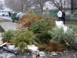 А в Киеве открыли пункты приема для утилизации новогодних елок
