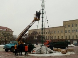 В Кировограде завершают демонтаж главной елки