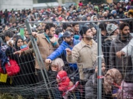 Глава МИД Австрии выступил за ограничение числа беженцев