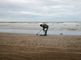 Нашествие змей. Власти Буэнос-Айреса закрыли пляжи в разгар туристического сезона