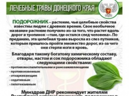 В «ДНР» нашли «оригинальный» способ борьбы с эпидемией гриппа (фото)