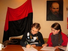 Запорожские активисты собирают подписи за украинизацию сайта горсовета (интервью с организатором)