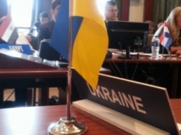 Украинская делегация покинула заседание ОЧЭС из-за председательства России
