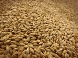Украина экспортировала почти 24 млн тонн зерновых