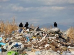 СБУ обвиняет днепропетровское КП в присвоении денег, предназначенных для утилизации мусора