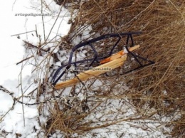 ДТП на Луганщине: ВАЗ-2101 сбил женщину с санками - ребенок погиб. ФОТО