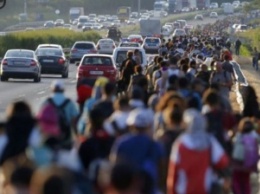 Австрия планирует выслать из страны 50 тысяч беженцев