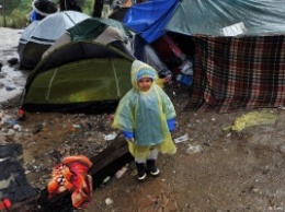 СМИ: В Европе пропали около 10 тысяч детей-беженцев