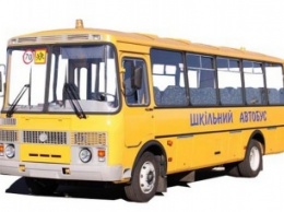 В этом году на приобретение школьных автобусов в Николаевской области выделено около 40 млн. грн