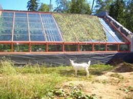 В Украине начнут строить биоэнергетические поселки