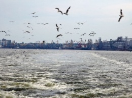 Скандал в Николаевском морском порту: действия экологов необоснованны, загрязнения нет – ГП «АМПУ»