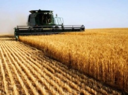 СМИ: Саудовская Аравия инвестирует 10,5 миллиардов долларов в сельское хозяйство Украины