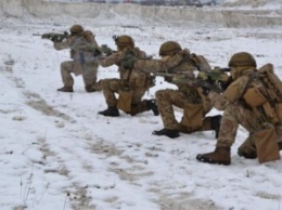 НАТО поможет Украине в создании Сил специальных операций