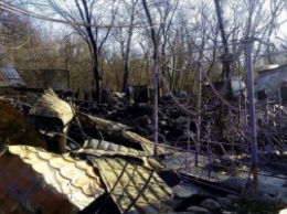 В киевском "Гидропарке" дотла сгорело деревянное кафе, - ГосЧС