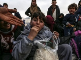 Турция начала "контролируемый прием" беженцев
