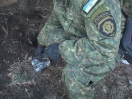 В Днепропетровске возле автодороги обнаружили тайник со взрывчаткой