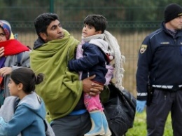 Австрия ввела ежедневные квоты на беженцев