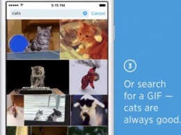 Twitter реализовал функцию поиска по анимированным GIF