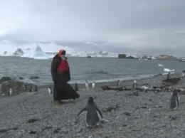 Патриарх Кирилл после встречи с Папой Римским поехал к пингвинам