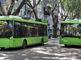 Во Львове мэрия разработала приложение для городского транспорта