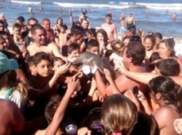 В Аргентине туристы "заселфили" дельфиненка досмерти