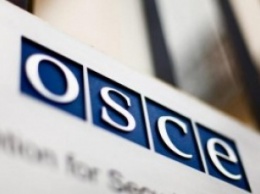 Работа миссии ОБСЕ на Донбассе продлена на год