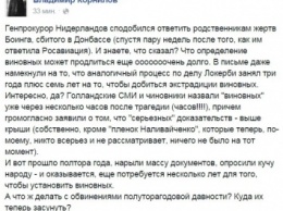 Голландский генпрокурор заявил, что виновные по сбитому Боингу не установлены