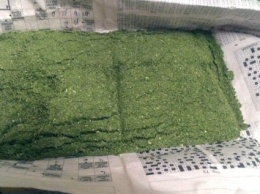 Криворожанка собиралась выкурить 50 пакетов марихуаны (фото)