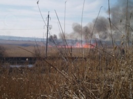 В Одессе горят 2 гектара камыша на полях орошения