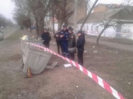 Мина у мусорника, граната – на дереве: почти одномоментно в трех районах Николаева нашли взрывоопасные предметы