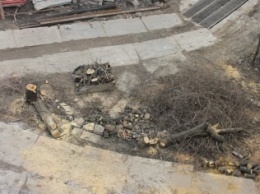 В сквере под Тещиным мостом массово уничтожают деревья (фото)