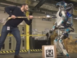 Человек vs машина: у робота прямоходящего отобрали "любимую" коробку