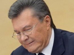В коррупционных схемах Януковича и «семьи» задействовано больше ста компаний