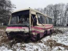 В Львовской области иномарка устроила лобовое ДТП с маршруткой: есть погибшие и ранены