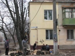 В центре Николаева неизвестные спилили под корень здоровые ясени