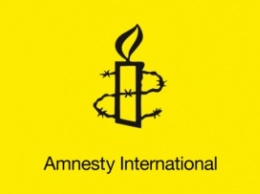 Amnesty раскритиковала Францию за антитеррористические мероприятия