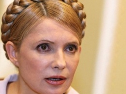 Юлия Тимошенко весь год жила на одну зарплату