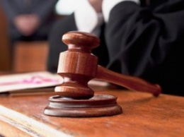Суд Благовещенска вынес приговор по делу напавшей на полицейского пьяной девушки