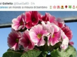 8-летний итальянский школьник придумал новое слово