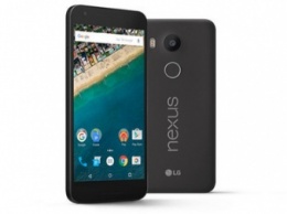 Новых смартфонов LG Nexus в этом году не будет