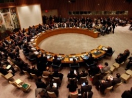 Совбез ООН единогласно поддержал совместную резолюцию США и России по Сирии