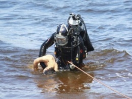 В воде обнаружили труп 80-летней женщины